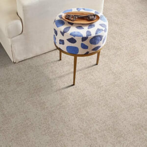 Carpet floor cleaning | DeGraaf Interiors